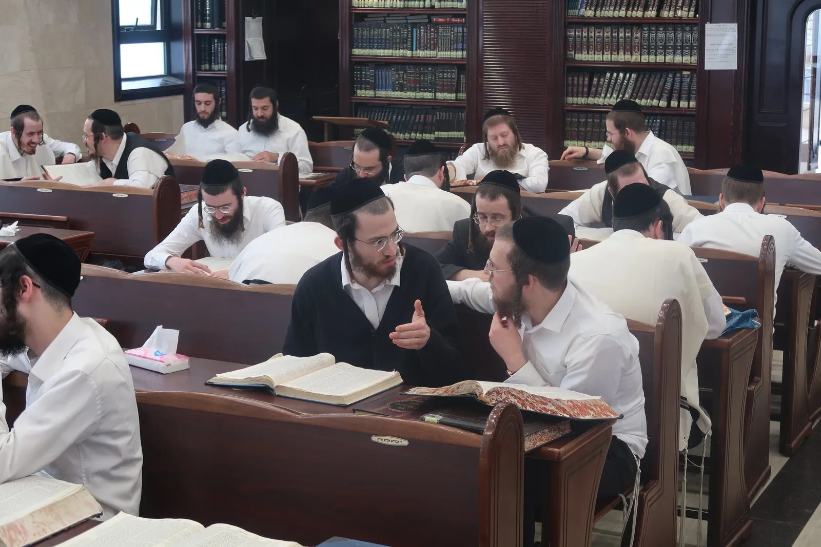 Yungeleit learning at Kollel HaShakdanim, Beitar Illit
