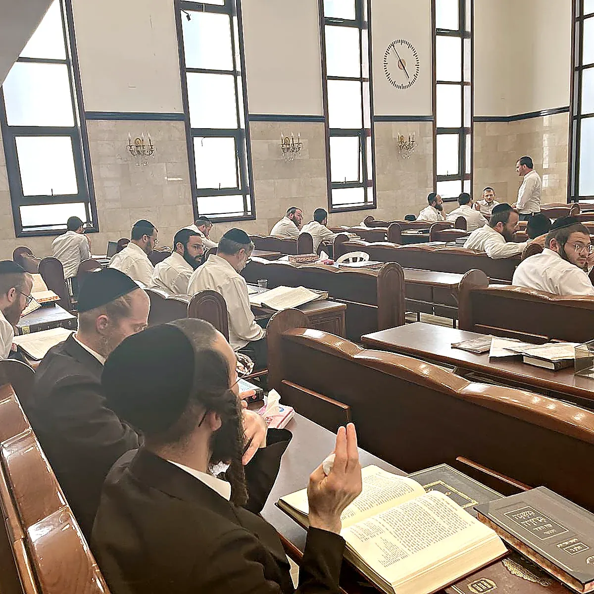 Avreichim learning in pairs at long benches, one mid-argument over an open gemara