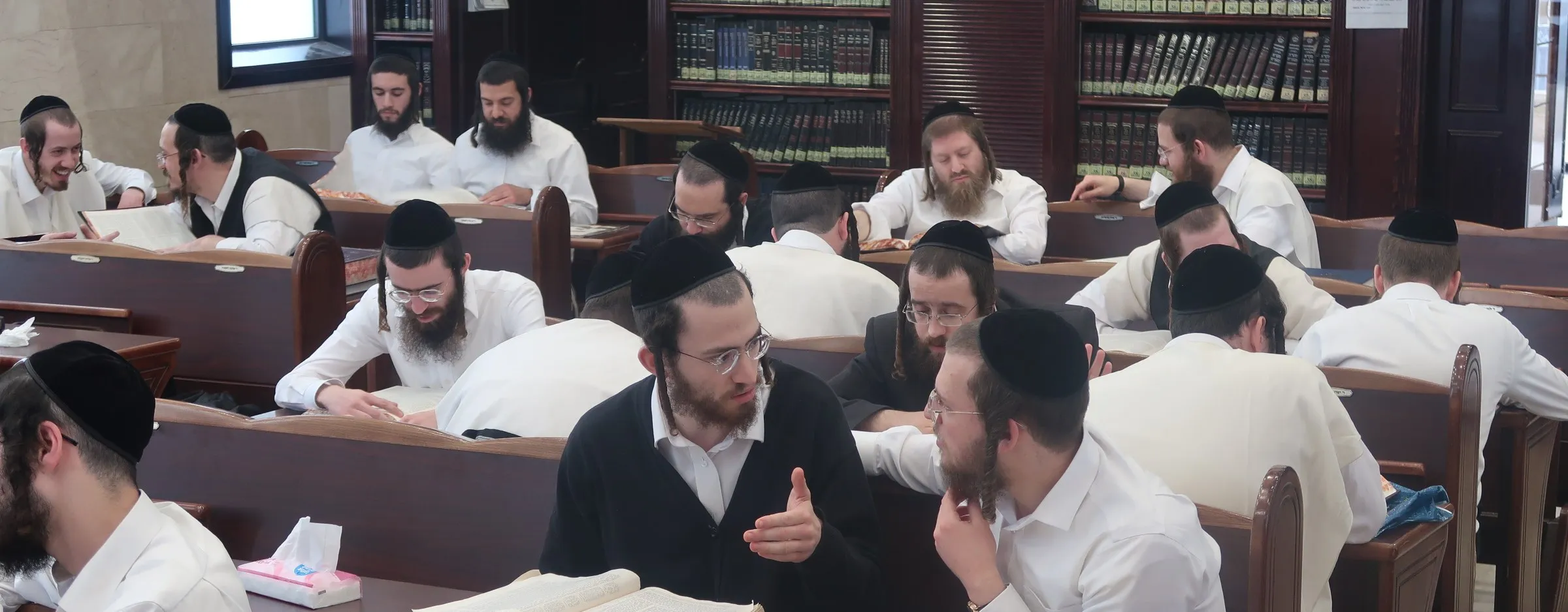 Yungeleit learning in chavrusos at rows of benches in the beis medrash of Kollel HaShakdanim, Beitar Illit